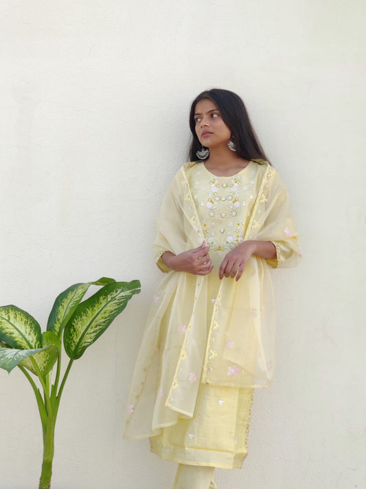 SALE: Pastel Yellow Mirror Embroidered Suit Set